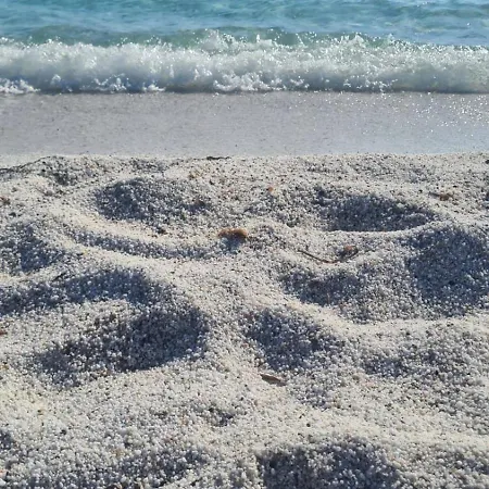 Дом отдыха Aurora House *